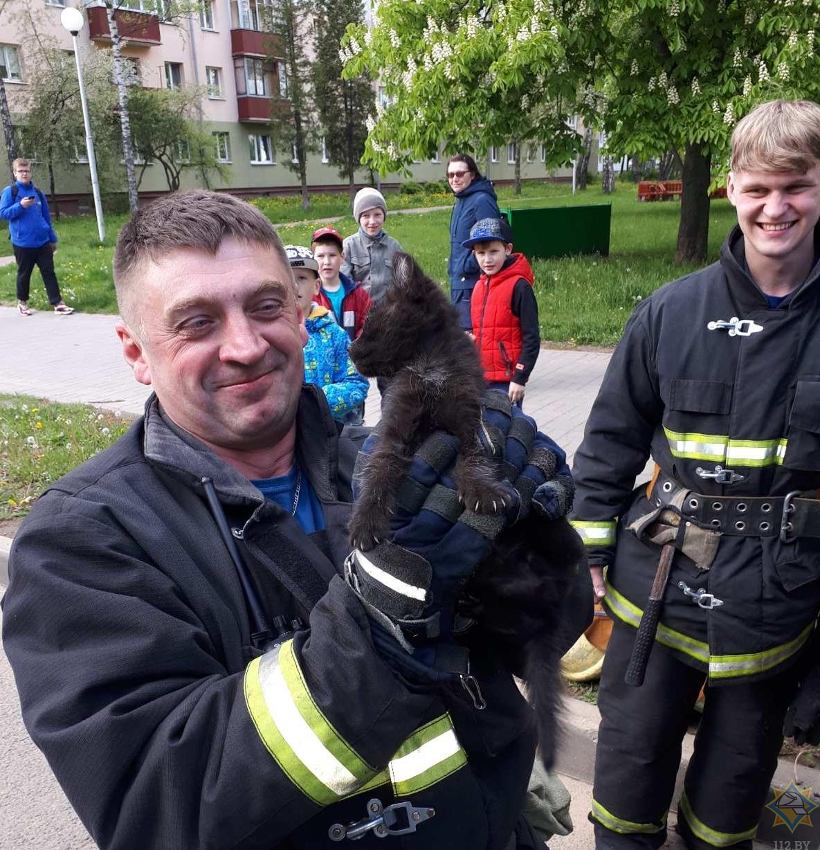 Спасатели достали котят из-под капота в Минске