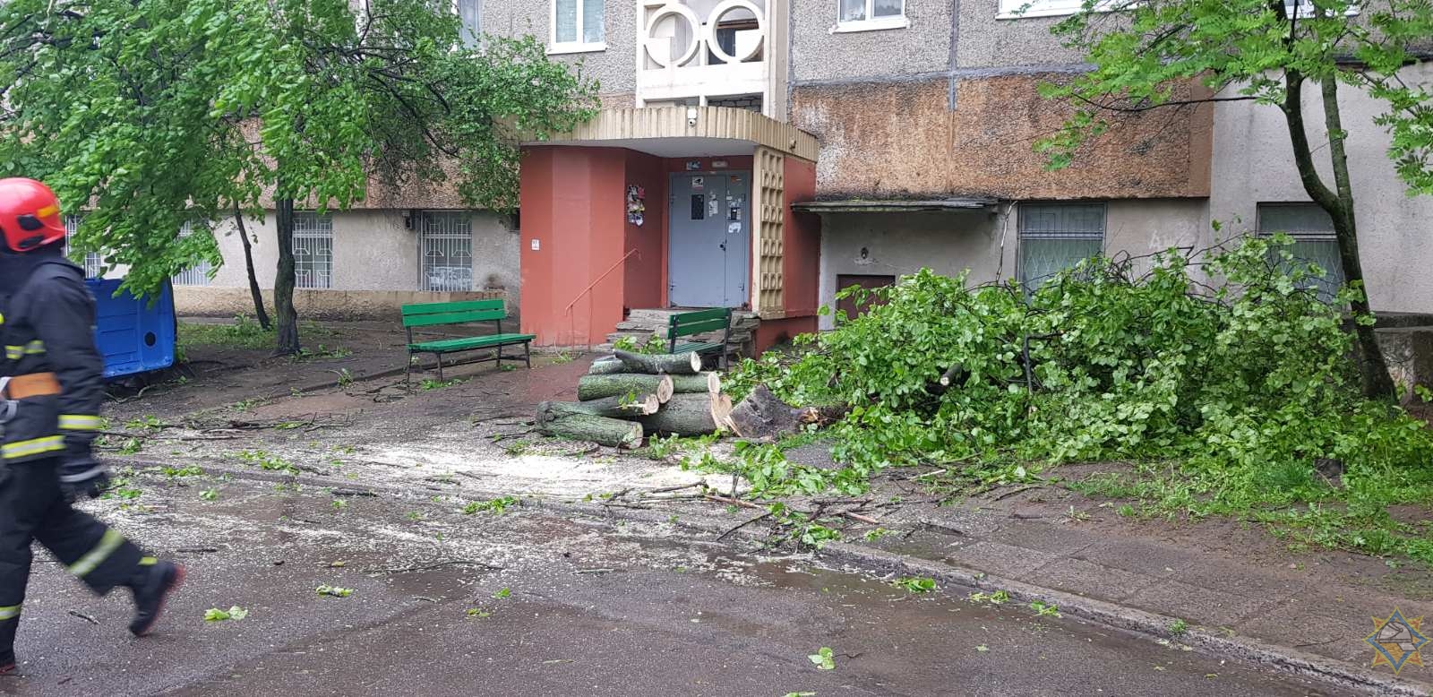 В Минске упавшее дерево повредило балкон дома