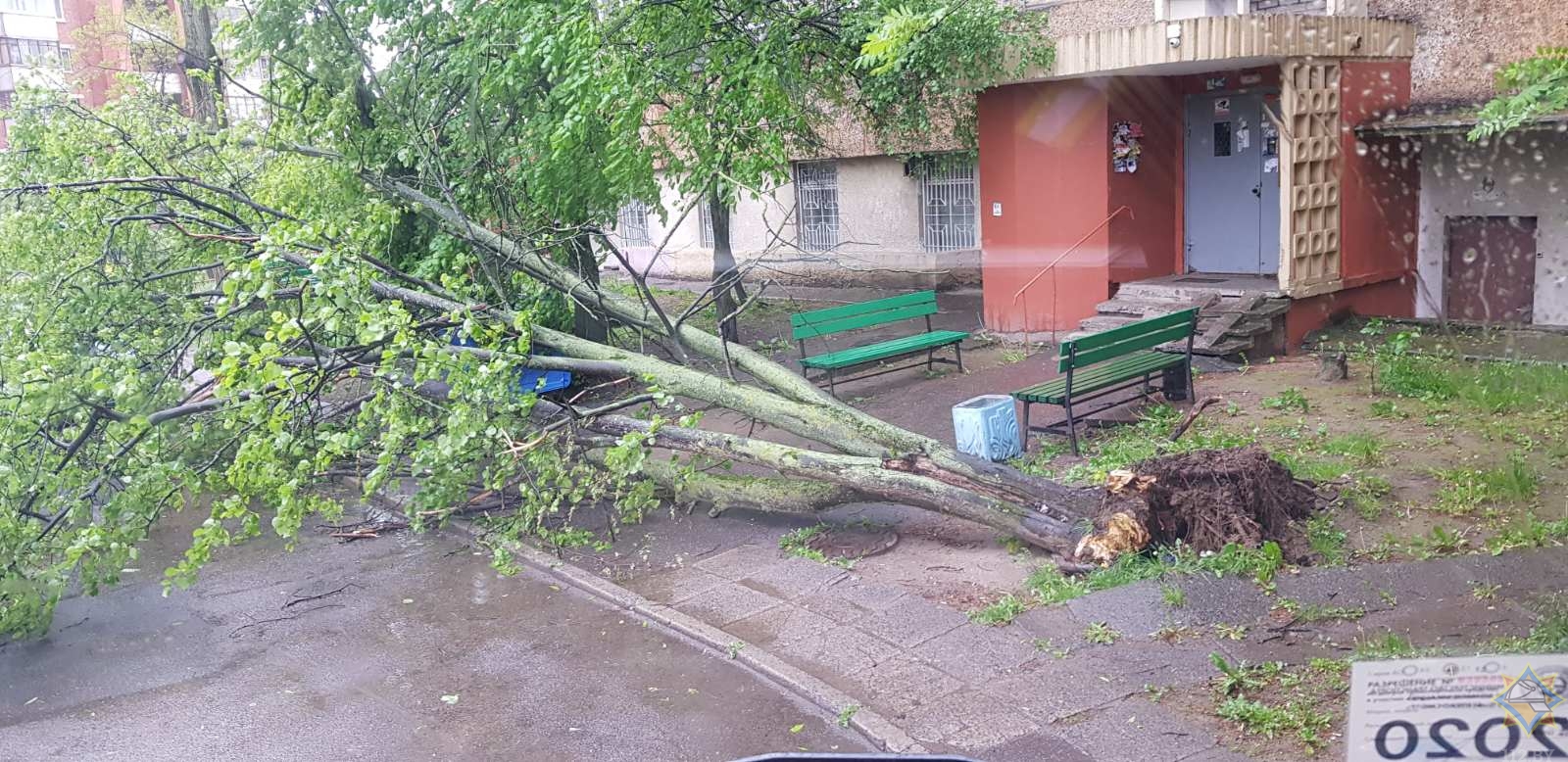 В Минске упавшее дерево повредило балкон дома