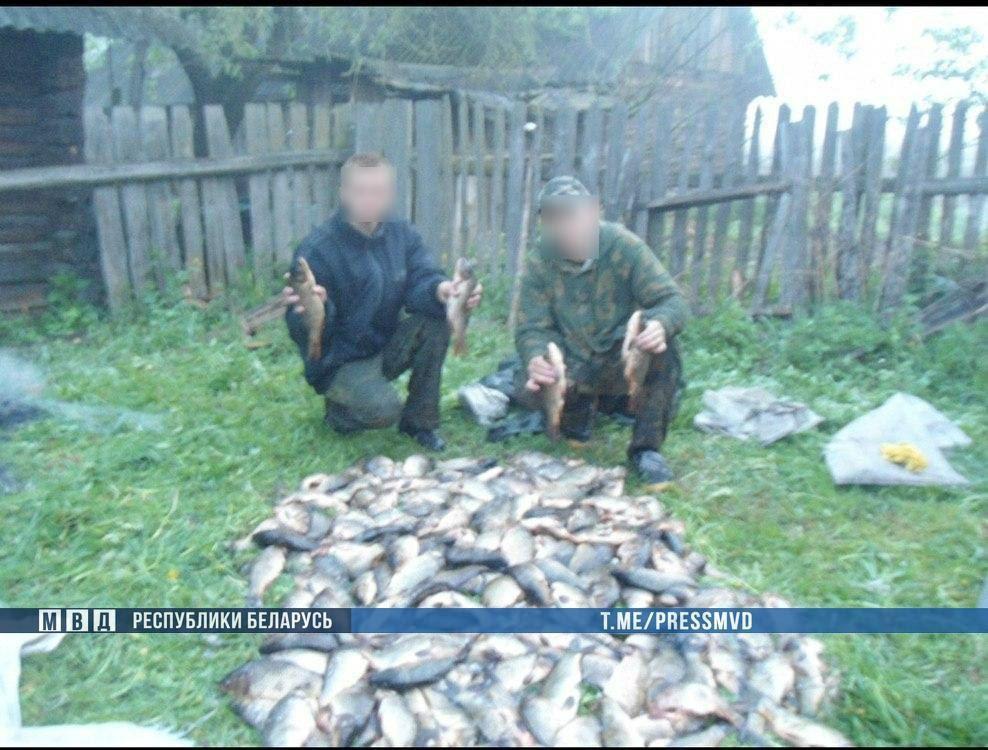 Банду браконьеров задержали в Гомельской области
