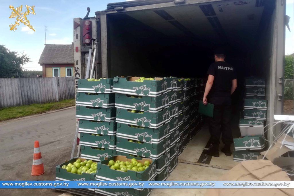 Водитель российской фирмы опрокинул фуру с яблоками, скрываясь от беларусской таможни