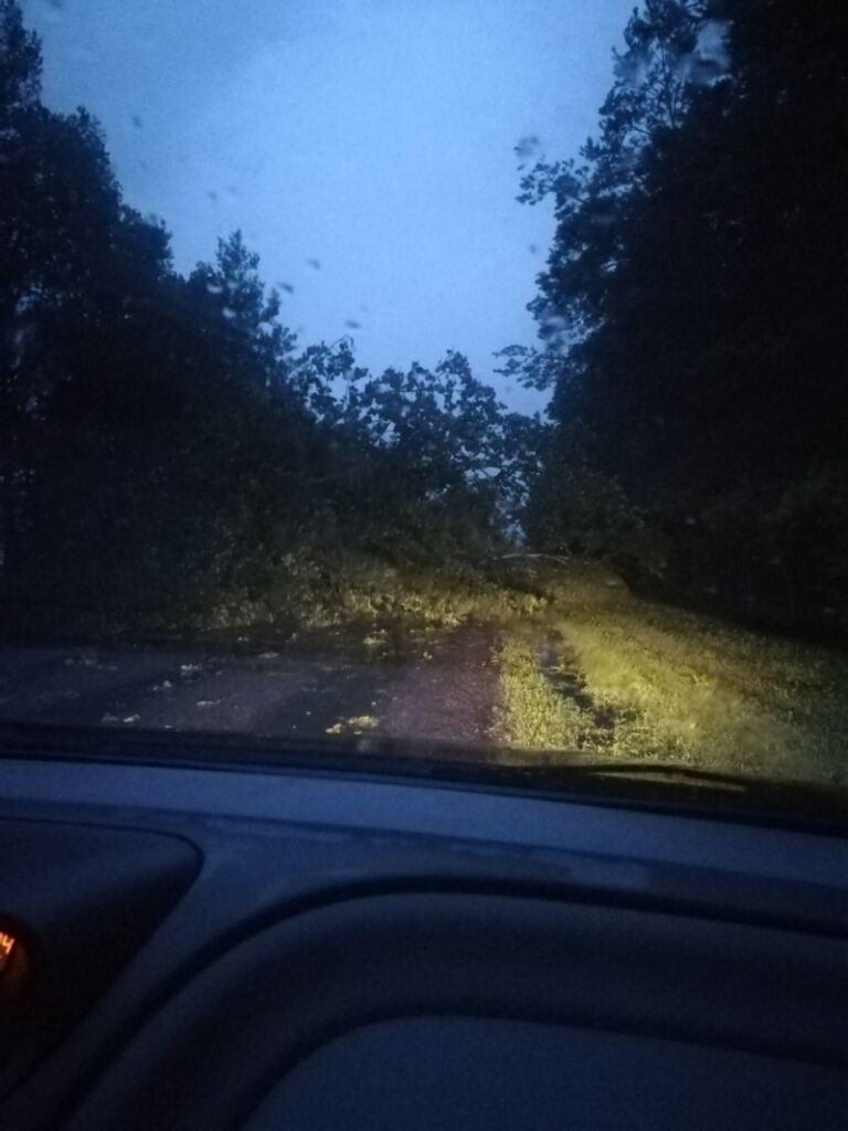 Буря в Брестской области: поломанные деревья и сорванные крыши