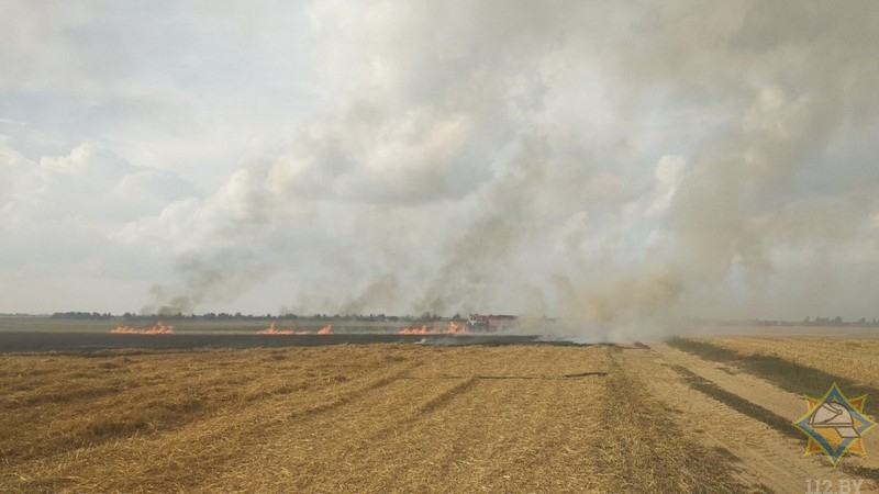 Грузовик с зерном загорелся на поле в Ляховичском районе