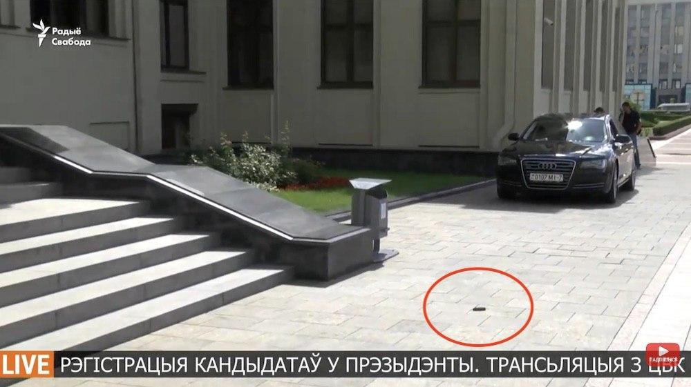 В Минске перед зданием ЦИК птица уронила мертвую мышь