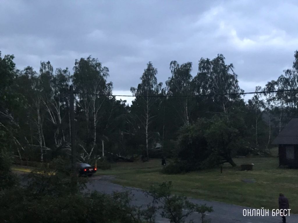 Буря в Брестской области: поломанные деревья и сорванные крыши