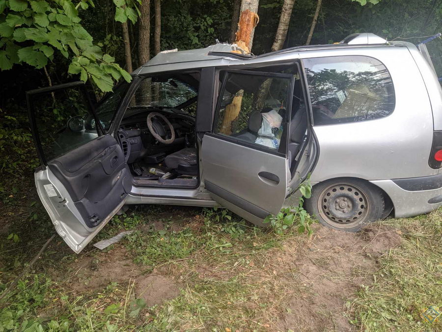 В Воложинском районе авто врезалось в дерево. Понадобилась деблокировка пассажира