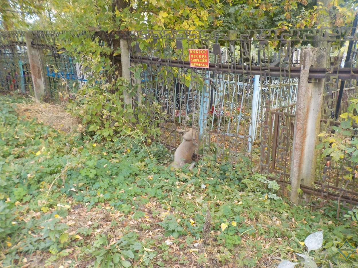 Косуля застряла в кладбищенском заборе в Бобруйске