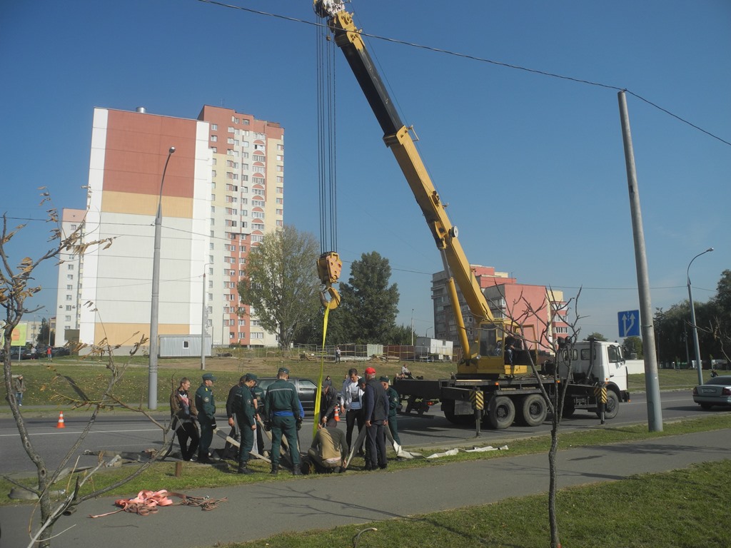 Спасатели вытащили лошадь из колодца в Гомеле