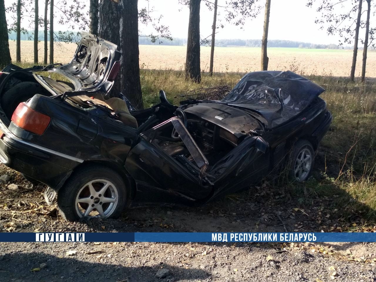 Водитель Audi влетел в дерево под Жлобином и погиб