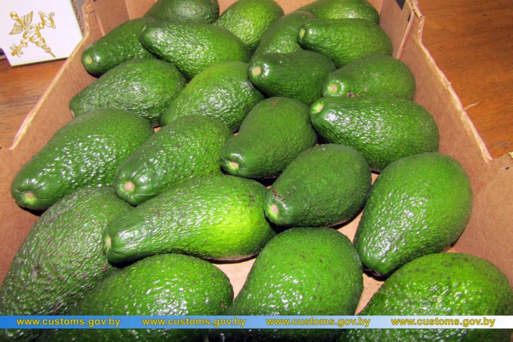 Авокадо, манго, ананасы на 100 тыс. долларов пытались ввезти в Беларусь по заниженной стоимости