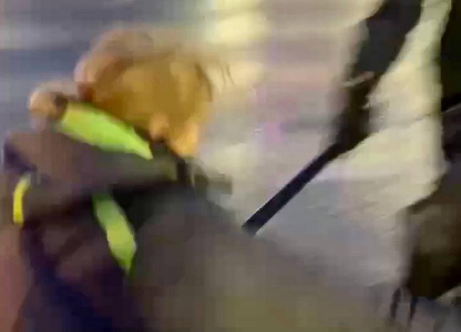СМИ: женщина находится в реанимации после удара силовиком в Петербурге