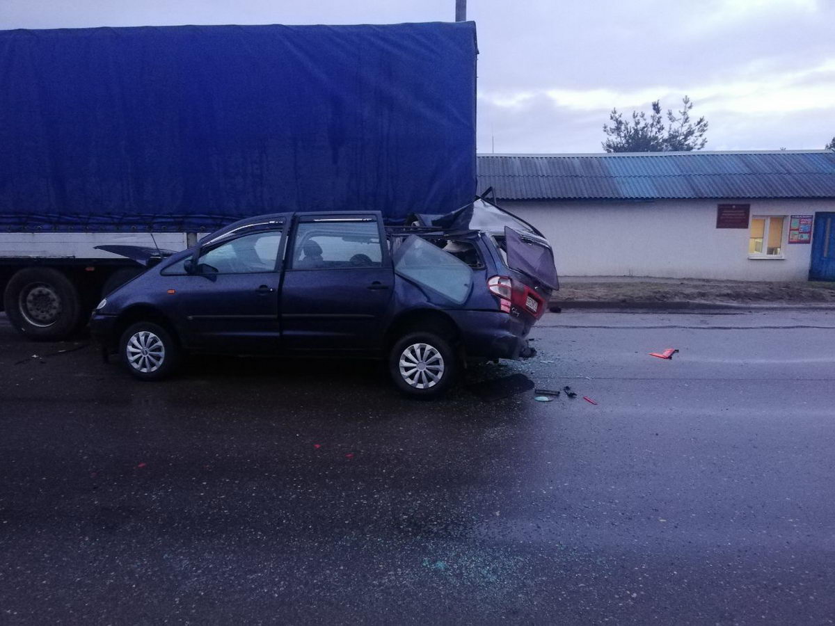 В Волковыске водитель легковушки влетел в фуру, пытаясь не сбить собак