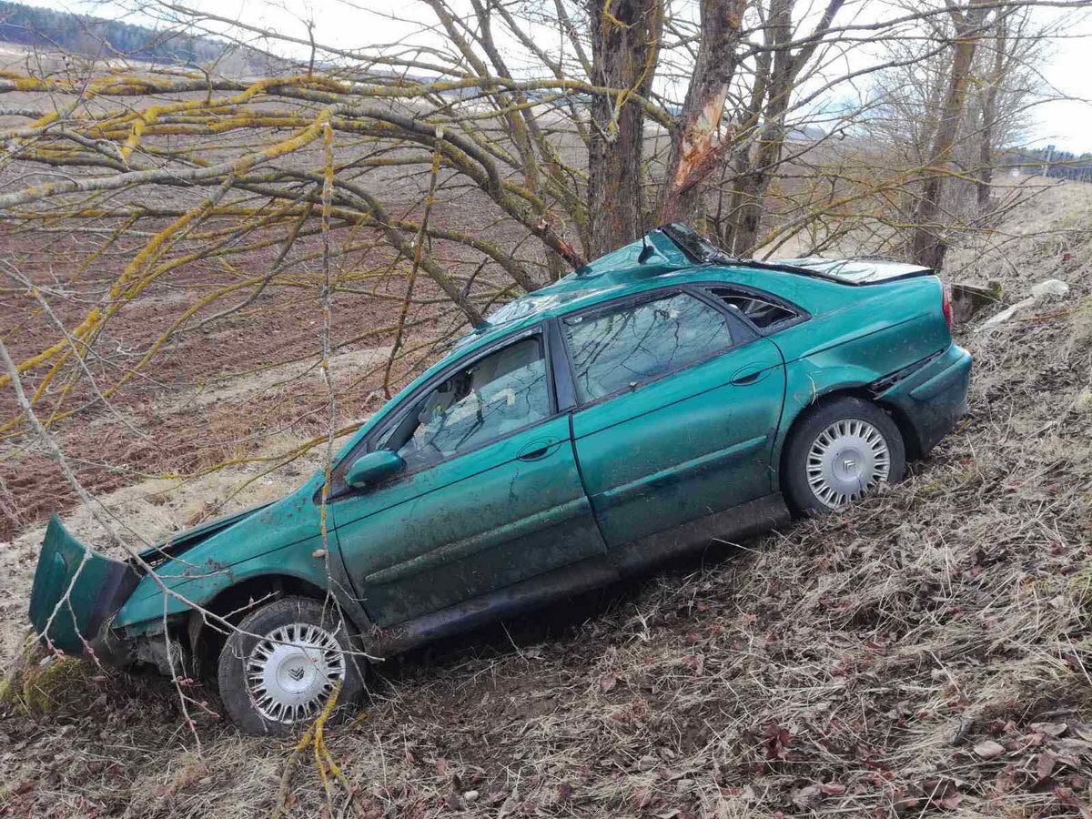 В Ошмянском районе легковушка влетела в дерево, пострадала водитель
