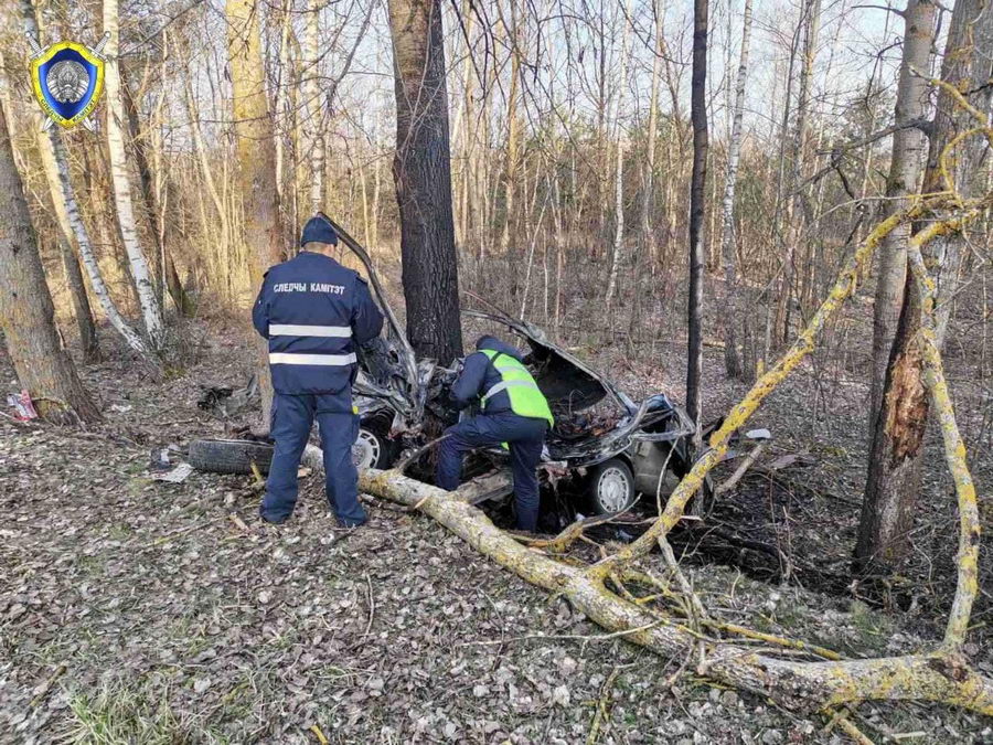 В Пинском районе авто врезалось в деревья и загорелось: погибли двое