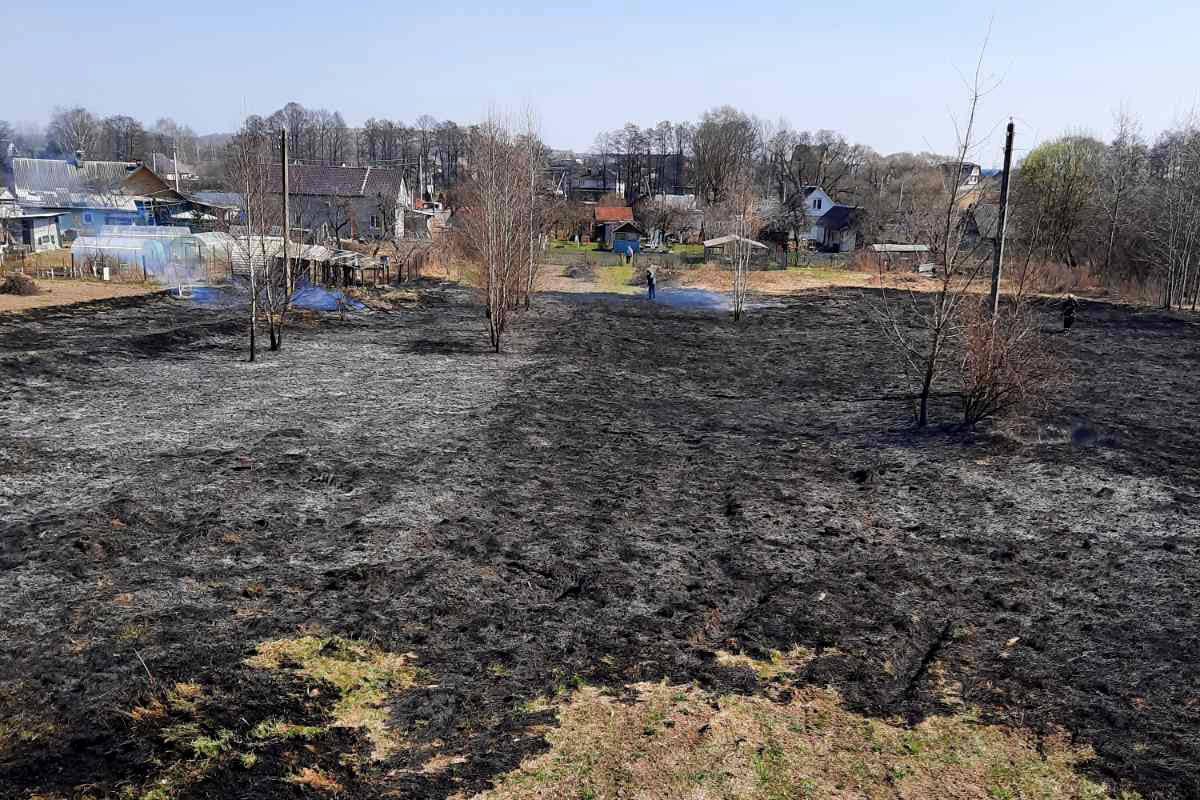 Большой пожар сухой травы случился в Заводском районе Минска