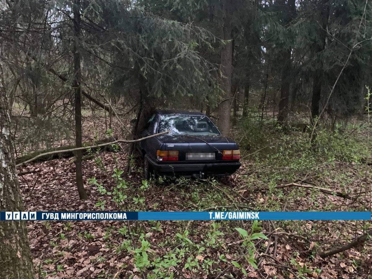 Нетрезвый бесправник пытался скрыться от ГАИ и влетел в дерево