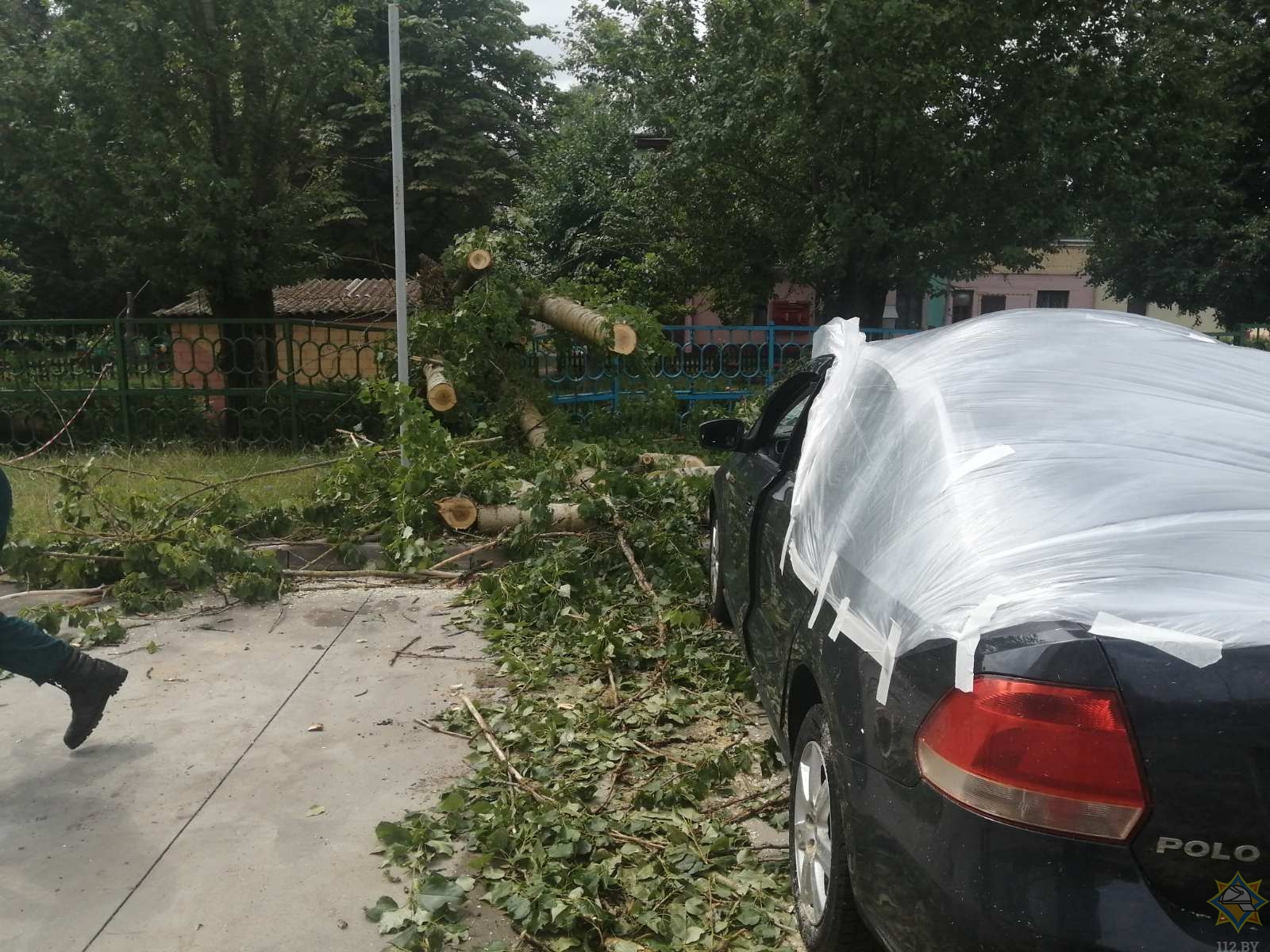 Грозовой фронт повалил 10 деревьев в Бобруйске