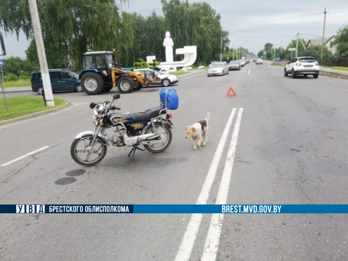 Трактор не уступил дорогу мотоциклу в Пинске