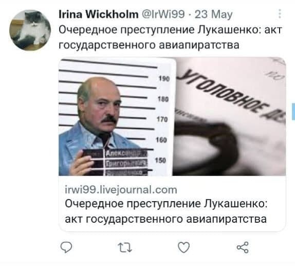 Гражданке РФ в Бресте дали 1,5 года колонии за твит о Лукашенко и самолете Ryanair