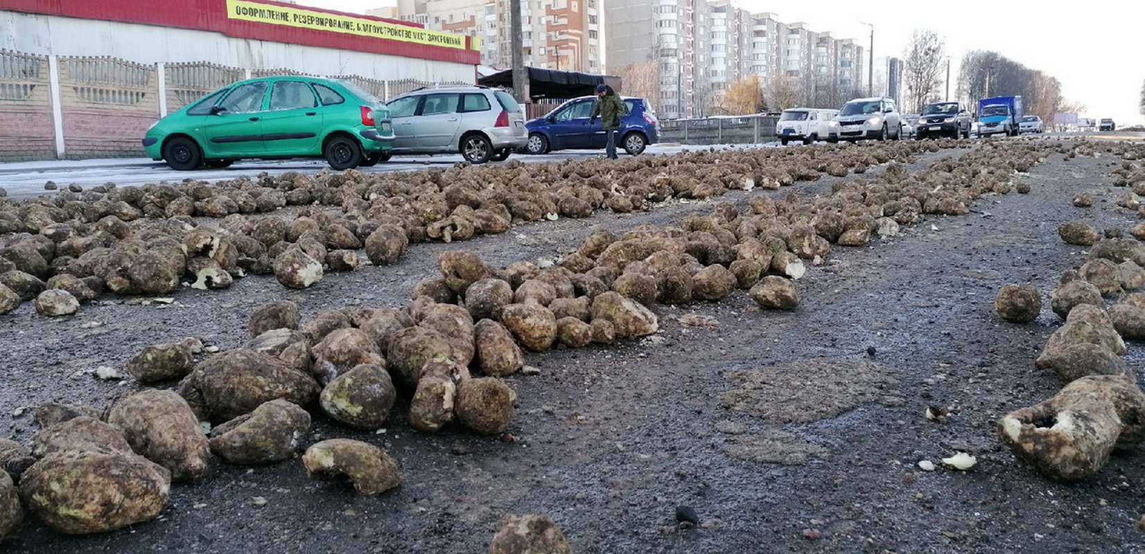 Несколько сотен килограммов свёклы высыпались из грузовика на дорогу в Барановичах