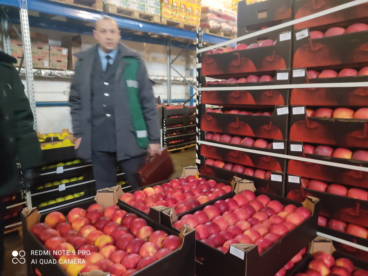 Яблоки из Беларуси уничтожены в Челябинске