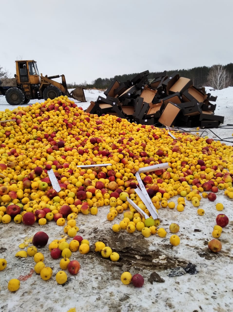 Яблоки из Беларуси уничтожены в Челябинске