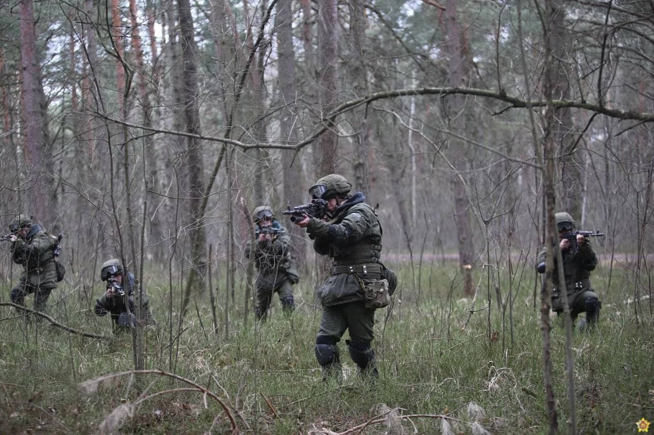 Беларусские десантники учились ловить диверсантов на болоте – фотофакт