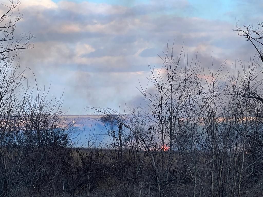 В Запорожской области обстреляли колонну беженцев из Мариуполя