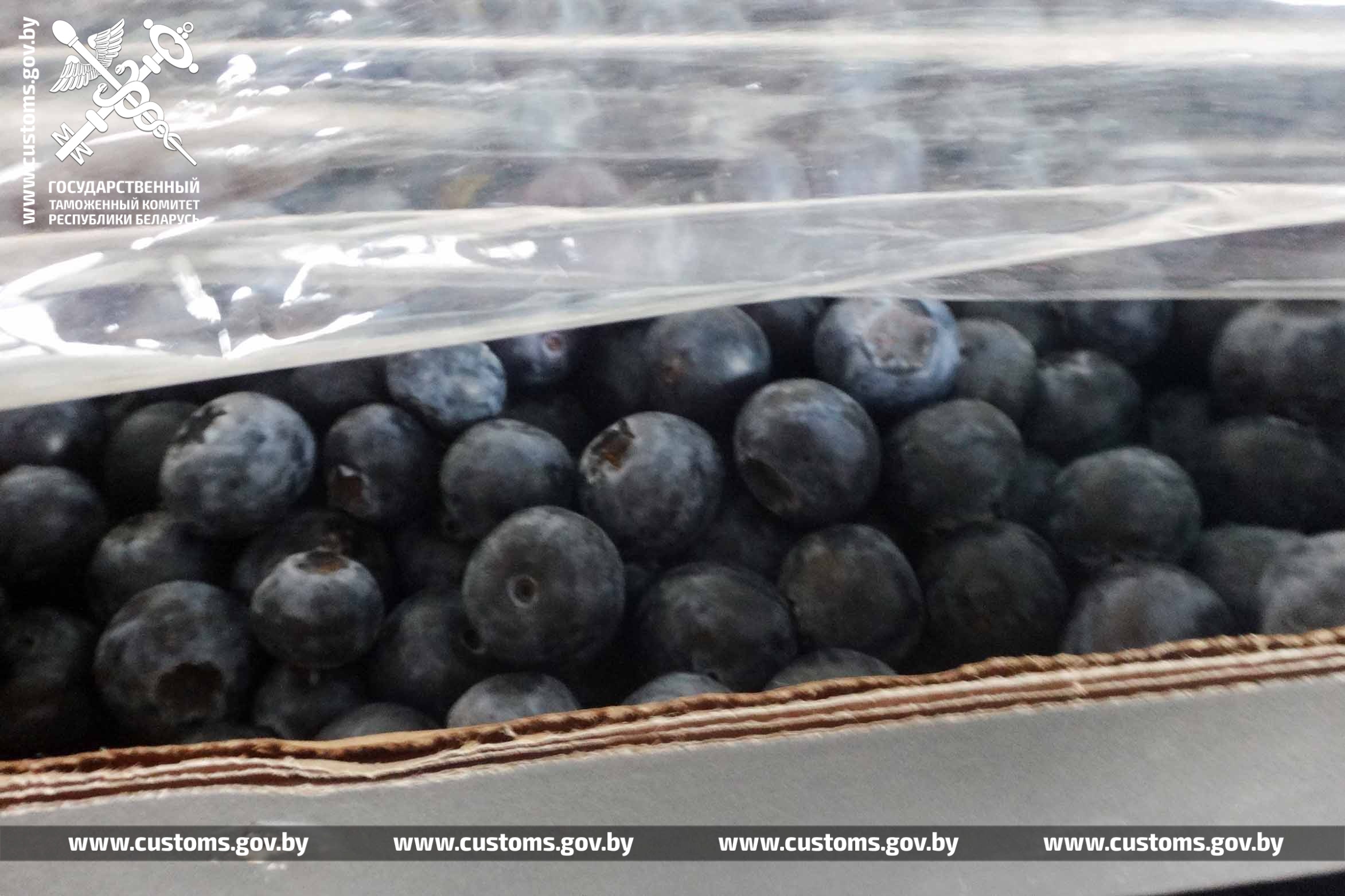 Беларусская таможня задержала клубнику, манго, виноград и офисную бумагу из России