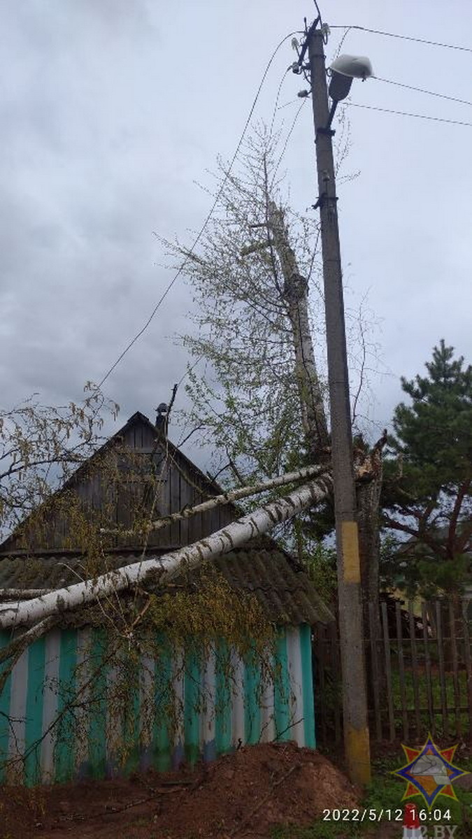 Более тысячи населенных пунктов столкнулись с перебоями с электричеством из-за ветра