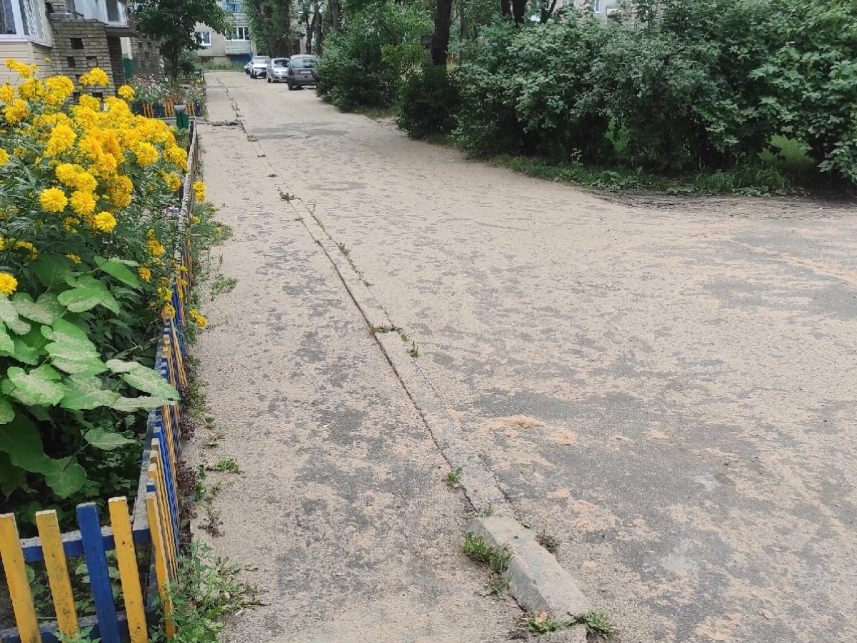 Улицы в Борисове засыпало опилками из-за аварии на «Борисовдреве»