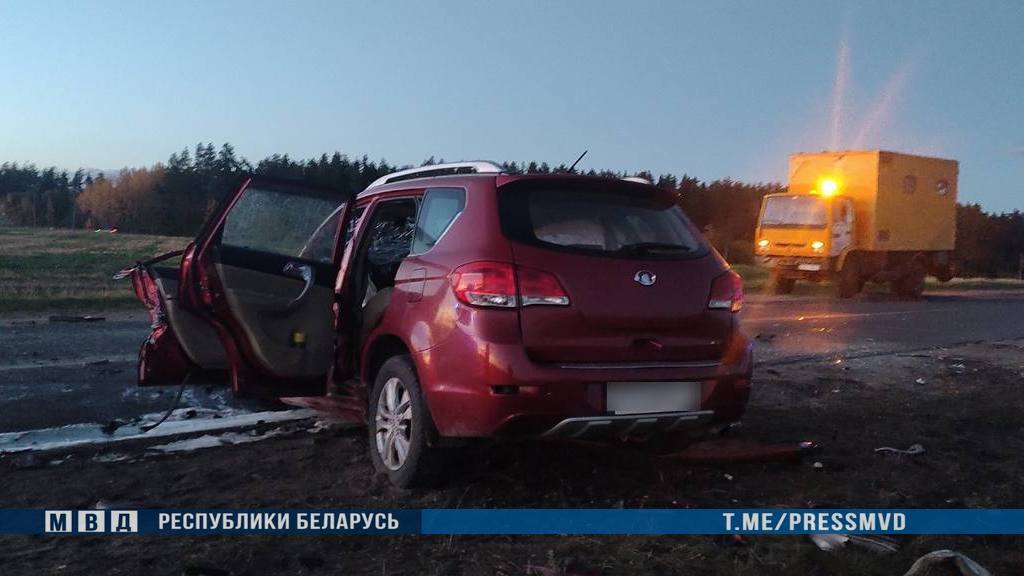 ДТП в Борисовском районе: погибли водитель и ребенок