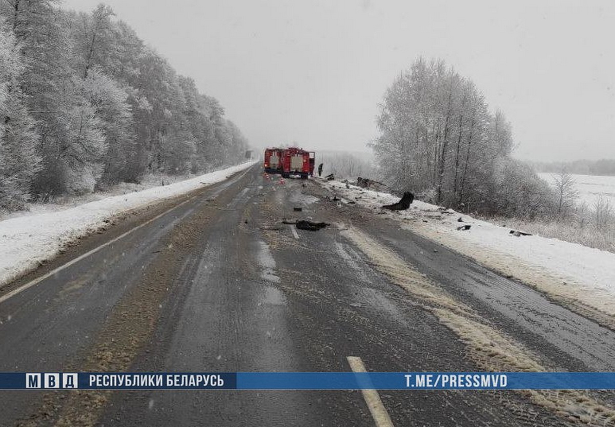 Водитель погибла в ДТП в Стародорожском районе