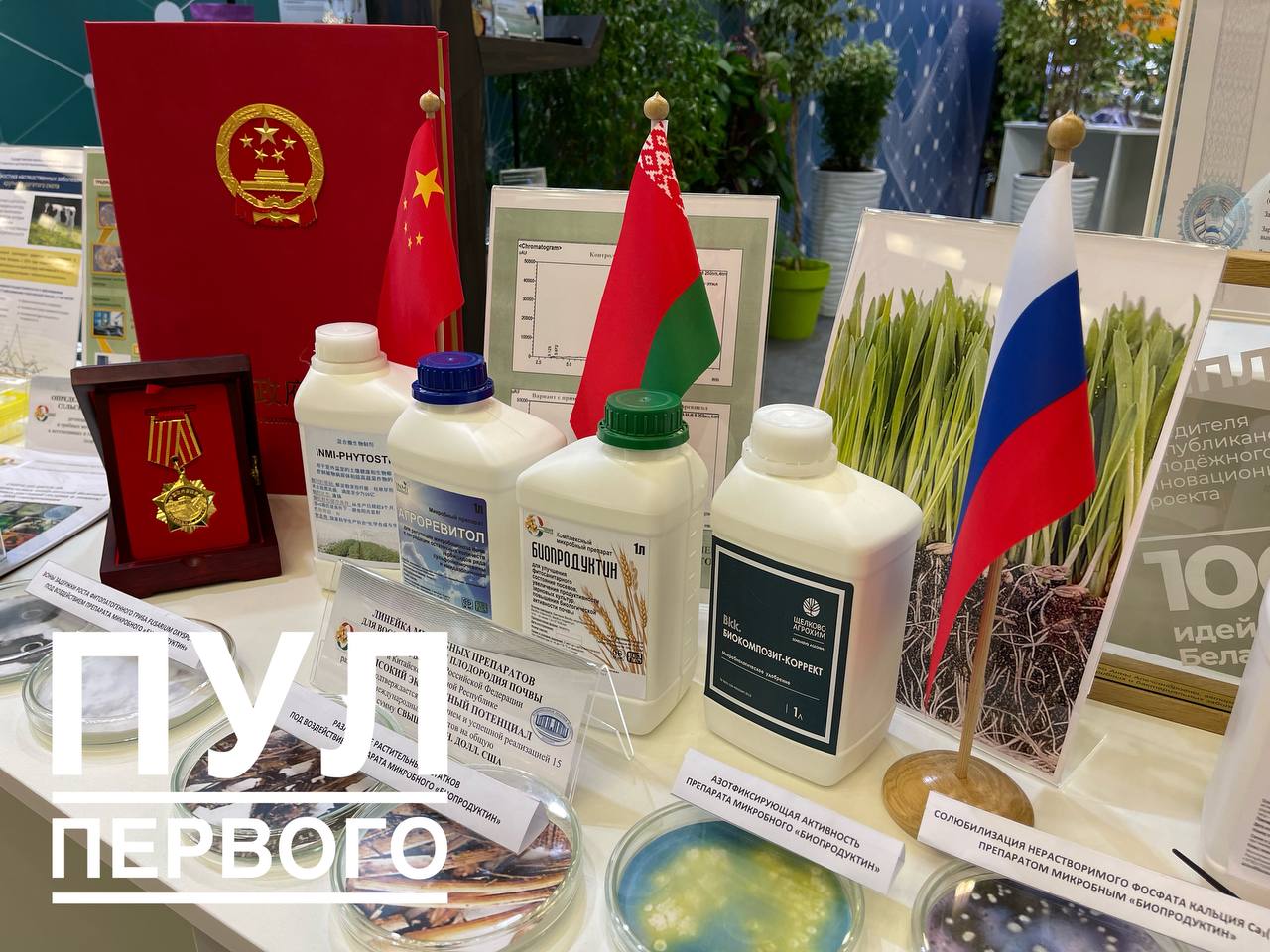 Выставка "Беларусь интеллектуальная" открывается в Минске - фото