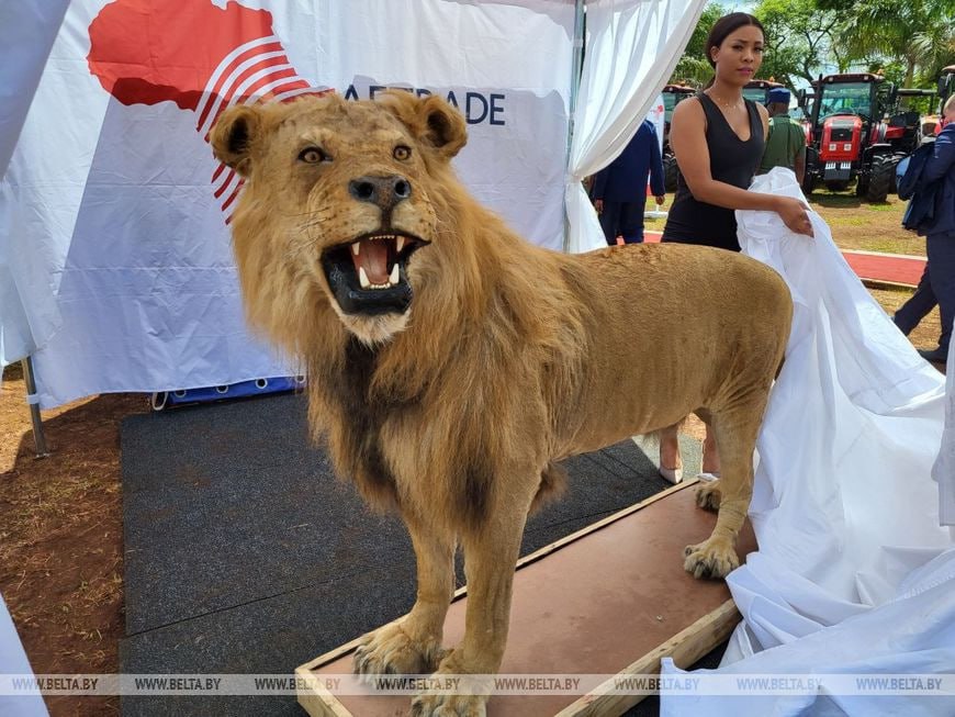 Мнангагва подарил Лукашенко чучело льва, а тот в ответ - трактор