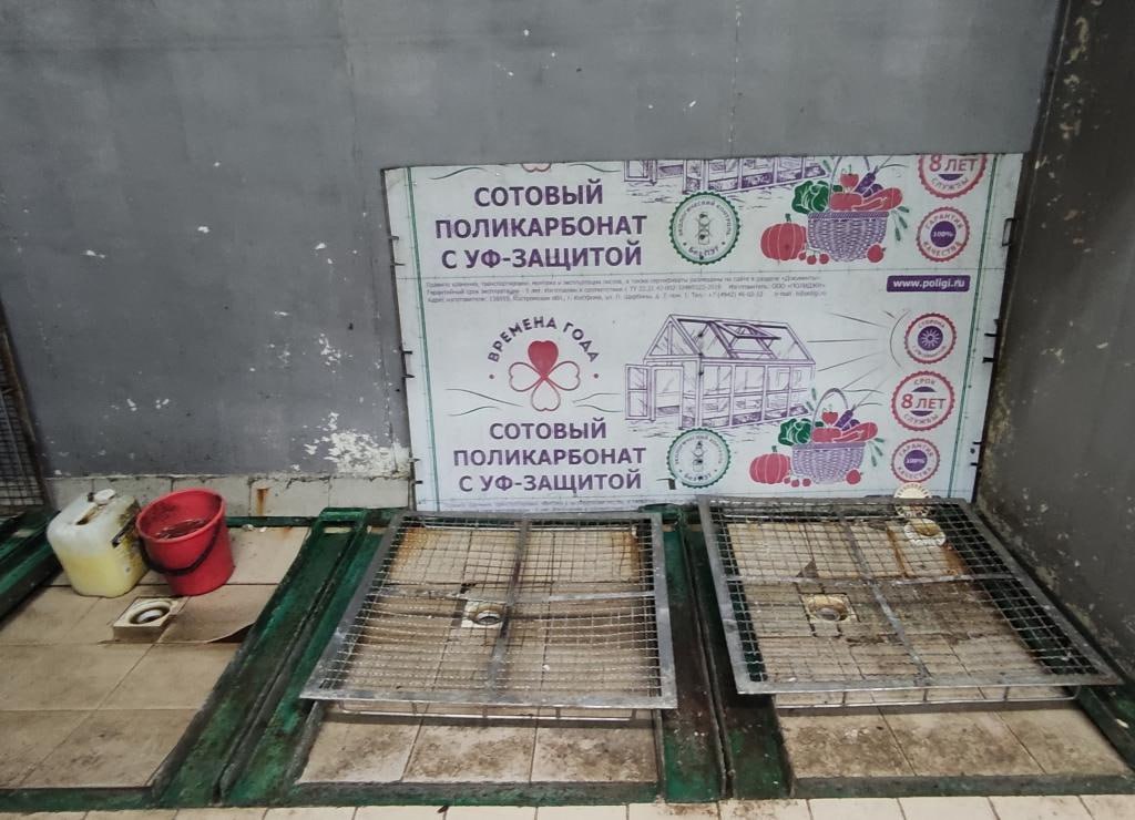 КГК приостановил работу мясоперерабатывающего предприятия под Минском