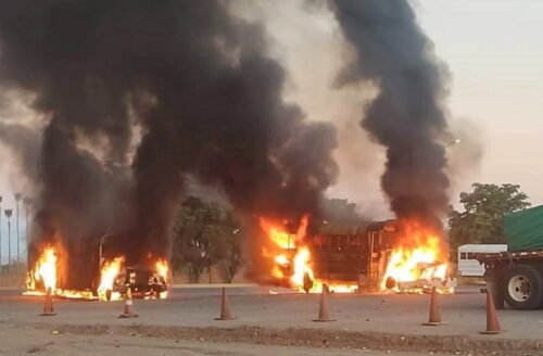 Фото: соцсети