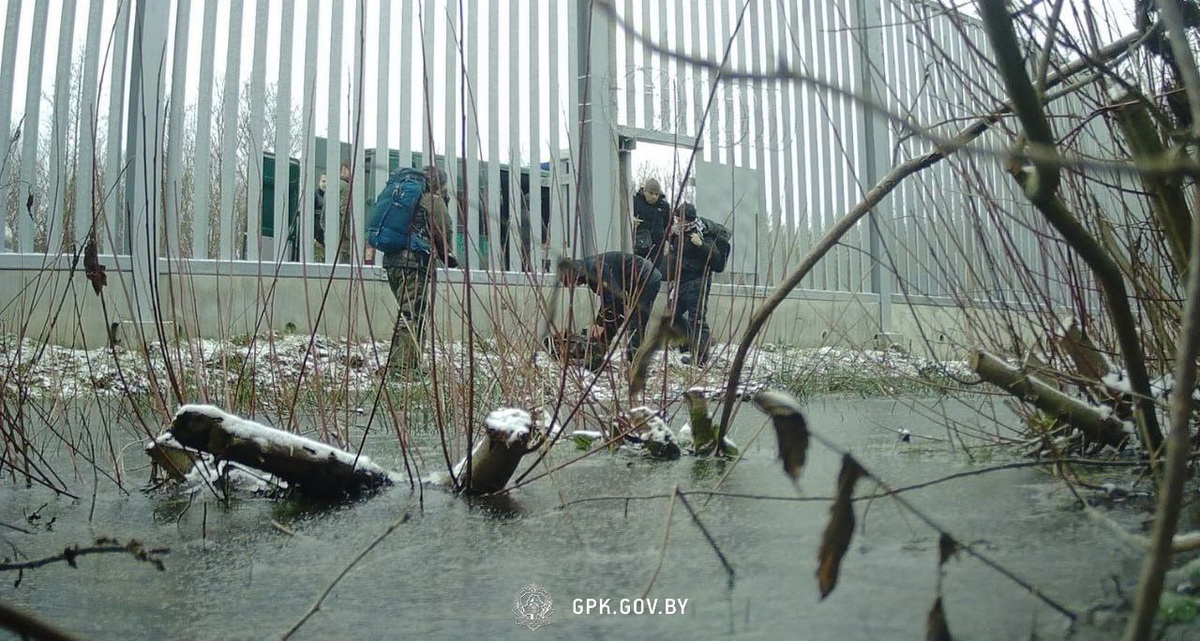 ГПК заявляет об 11 смертях мигрантов на границе с Польшей
