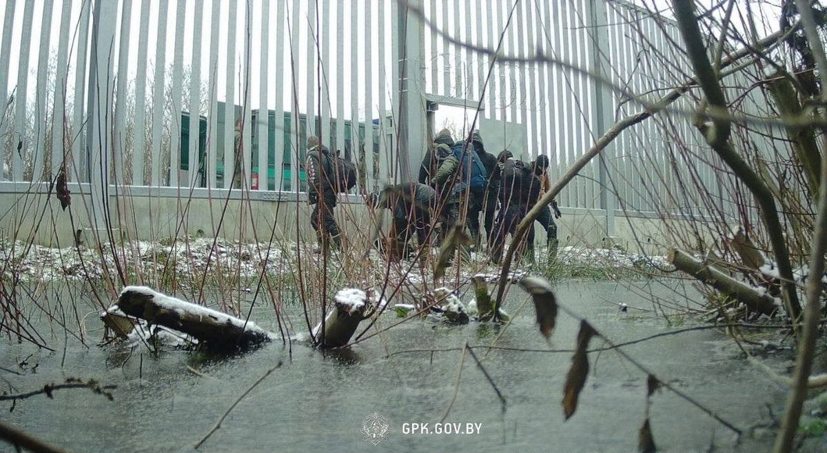ГПК заявляет об 11 смертях мигрантов на границе с Польшей