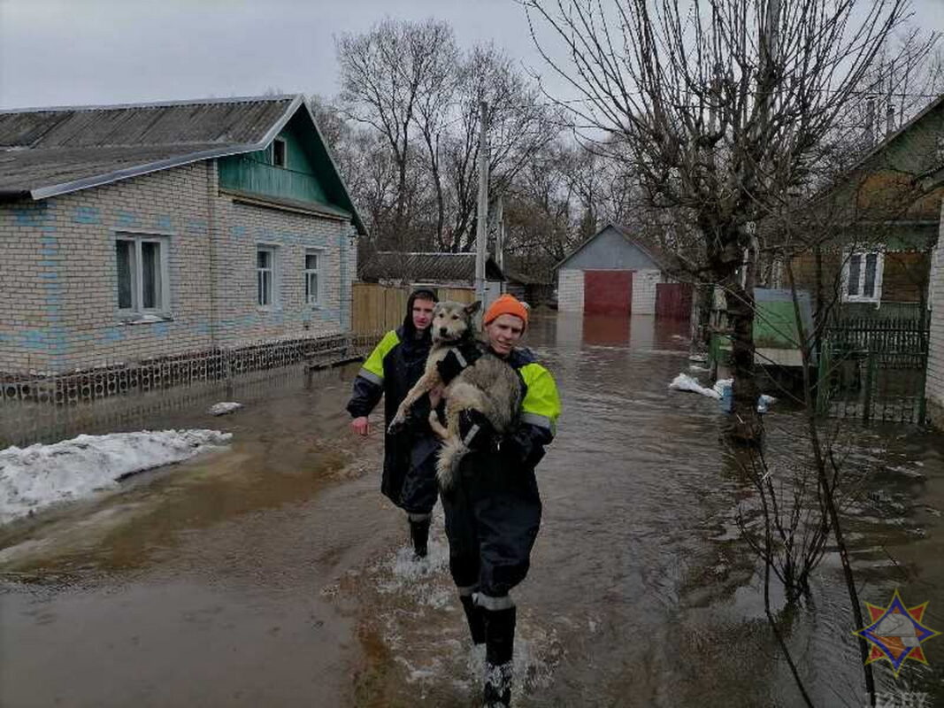 Подтопление в Городке Витебской области