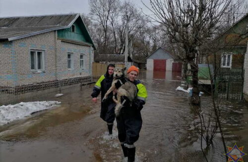 Подтопление в Городке Витебской области