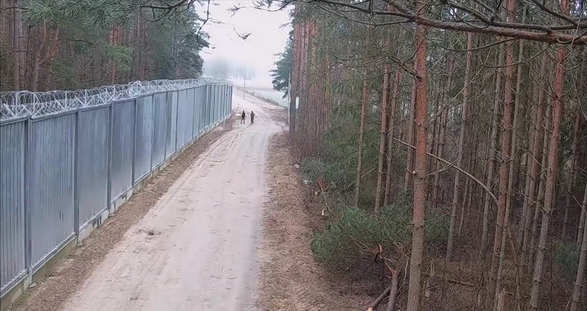 Патруль польских пограничников забросали камнями на границе с Беларусью
