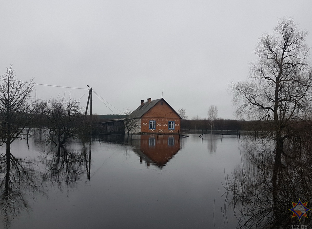 МЧС показало разлив Днепра в Жлобинском районе