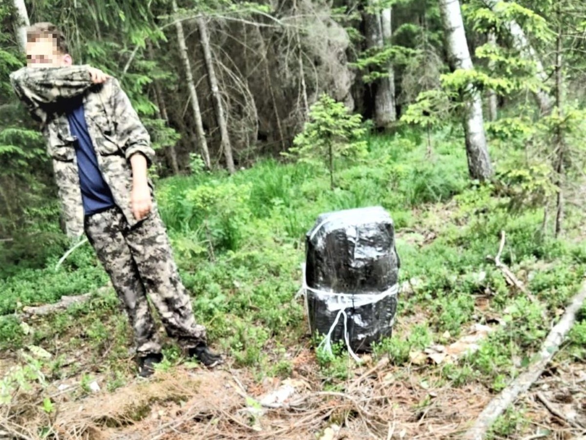 Сброшенные с дрона сигареты застряли на дереве в Литве, но контрабандисты нашли выход