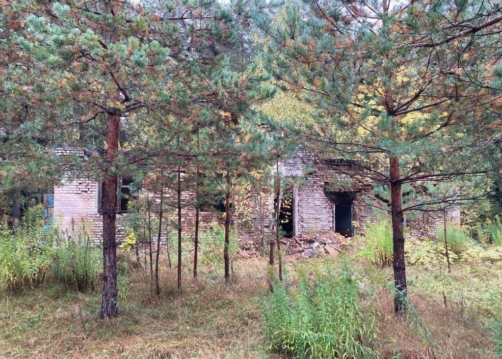 У минской компании изъяли участок с бывшим детским лагерем