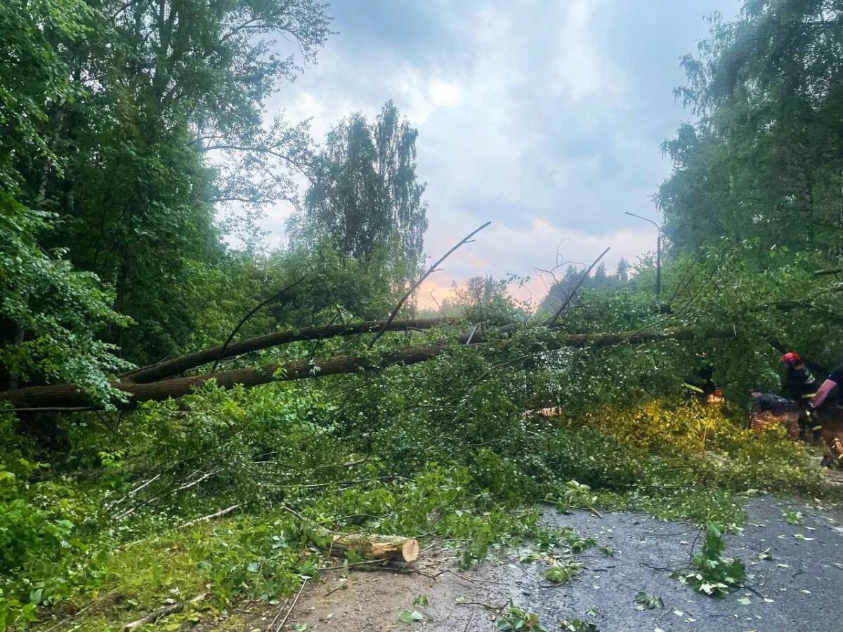 Девушка погибла из-за смерча на Минском море