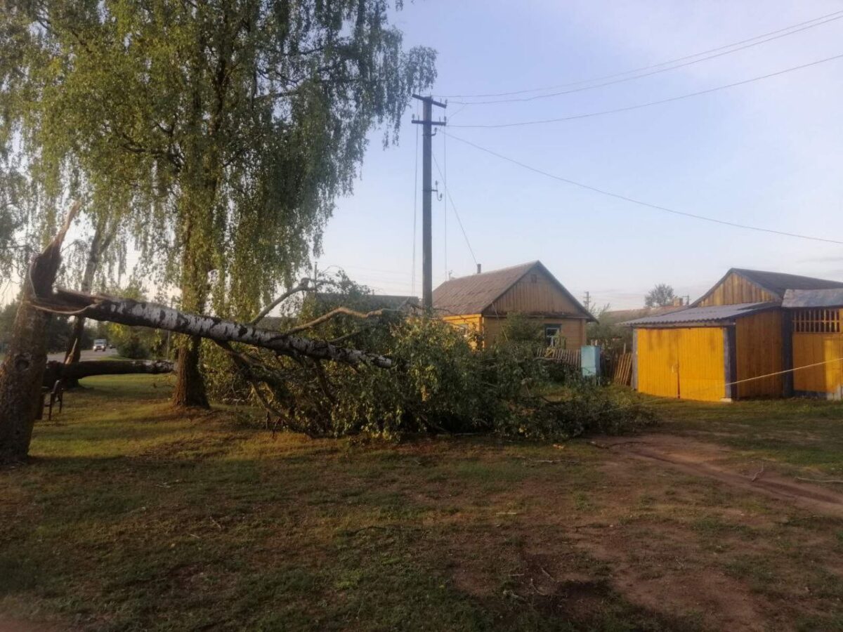 "Белэнерго" восстанавливает электроснабжение после непогоды - фото