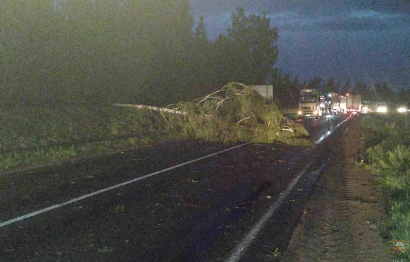 Повреждены кровли 39 домов. МЧС показало последствия непогоды