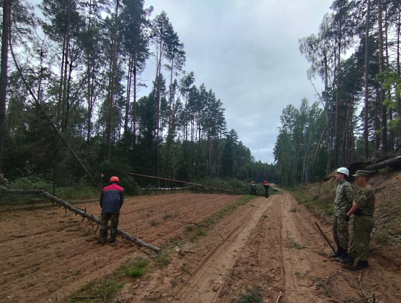 Грозовой фронт завалил деревьями пограничные дороги в Островецком районе