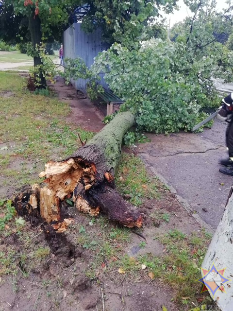 МЧС показало последствия непогоды на Гродненщине